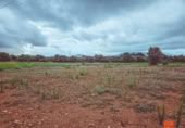 Terreno no urbanizable en venta en la España, Santa Bàrbara, ref: TR174139 foto