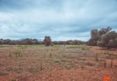 Terreno no urbanizable en venta en la España, Santa Bàrbara, ref: TR174139 foto