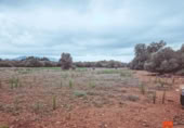 Terreno no urbanizable en venta en la España, Santa Bàrbara, ref: TR174139 foto