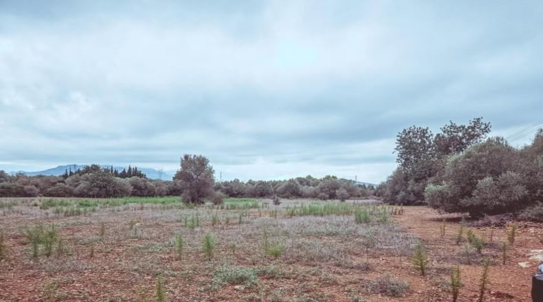 Tarragona - Santa Bàrbara - 9635m2