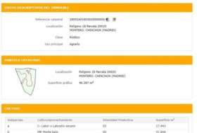 Villaconejos 49387&nbsp;m²