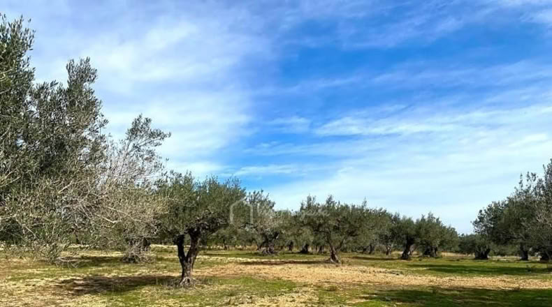 Tarragona - el Perelló - 13793m2