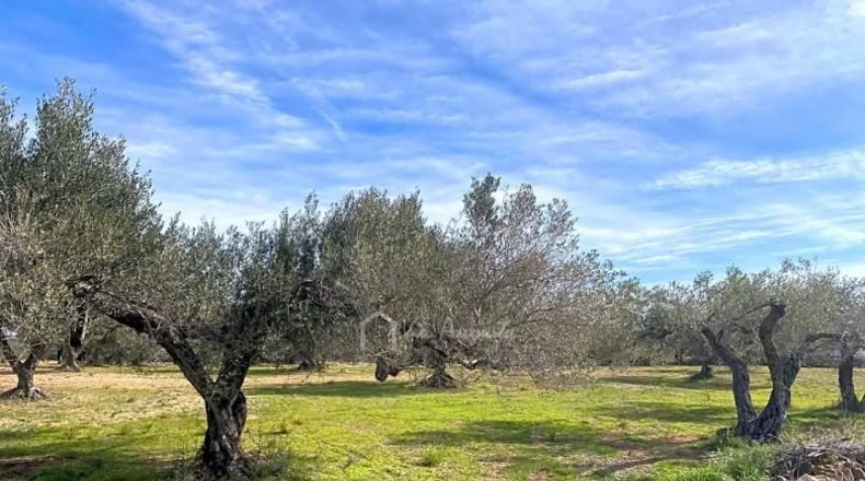 Tarragona - el Perelló - 13793m2
