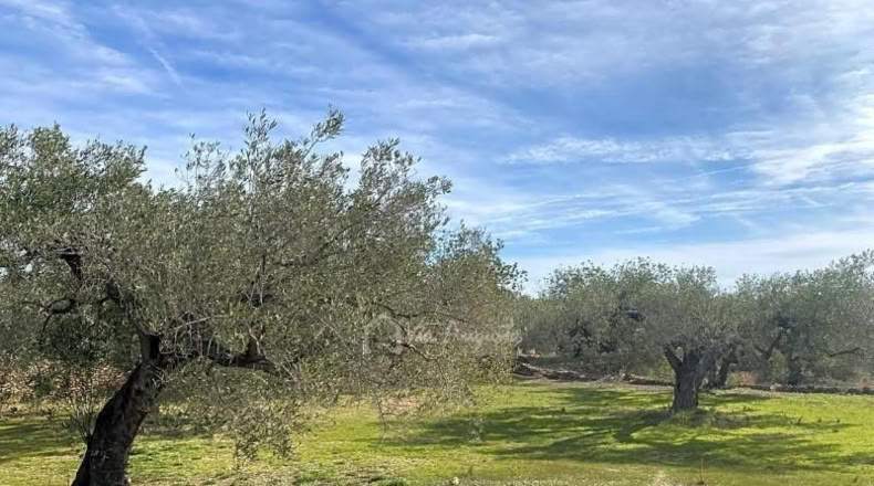 Tarragona - el Perelló - 13793m2