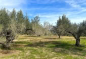 Terreno no urbanizable en venta en la España, el Perelló, ref: TR131778 foto