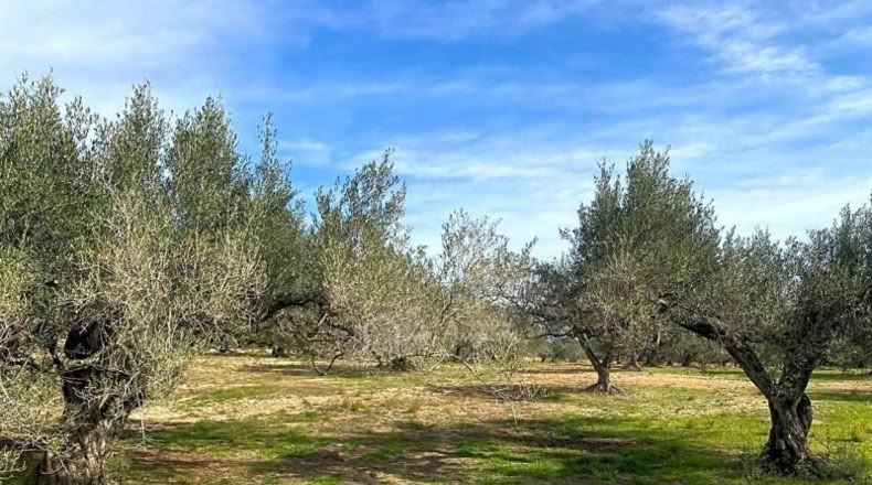 Tarragona - el Perelló - 13793m2