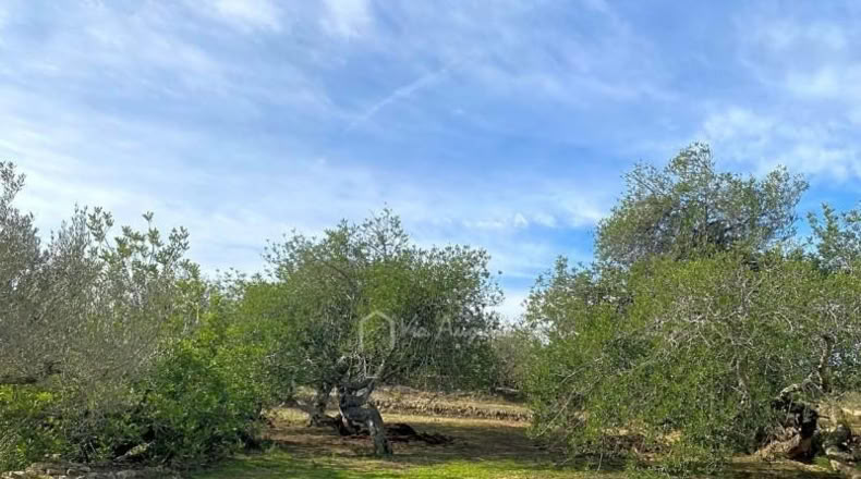Tarragona - el Perelló - 13793m2