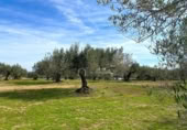 Terreno no urbanizable en venta en la España, el Perelló, ref: TR131778 foto