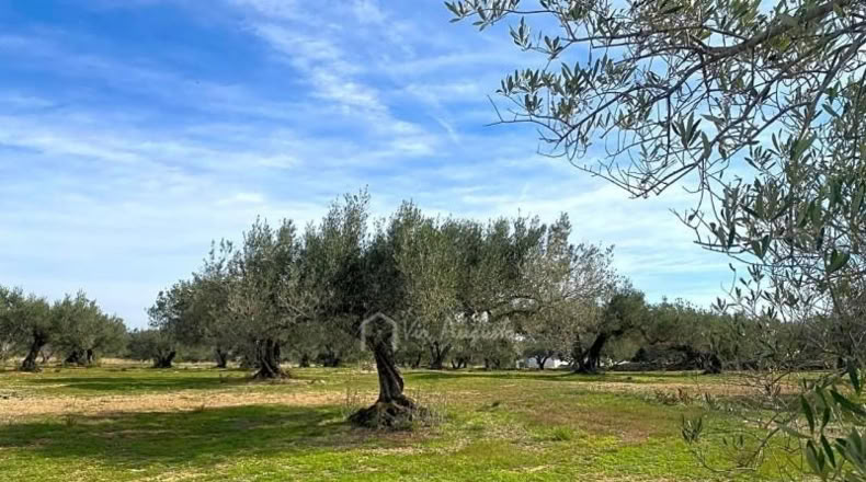 Tarragona - el Perelló - 13793m2