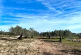 Foto 8
