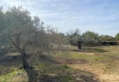 Terreno no urbanizable en venta en la España, el Perelló, ref: TR131778 foto