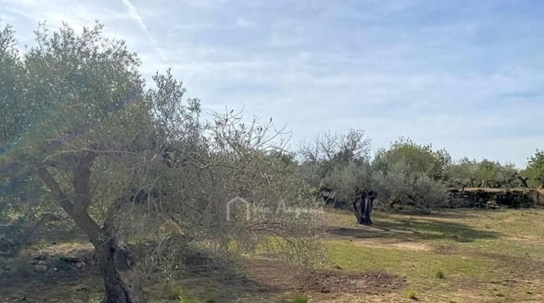 Tarragona - el Perelló - 13793m2