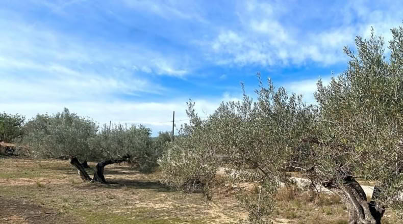 Tarragona - el Perelló - 13793m2