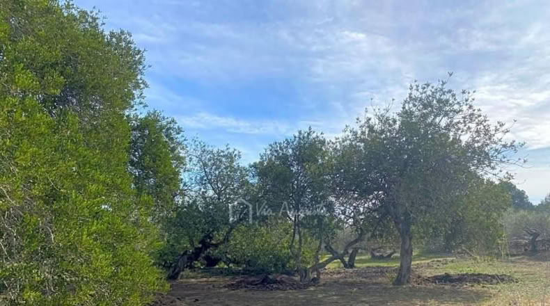 Tarragona - el Perelló - 13793m2