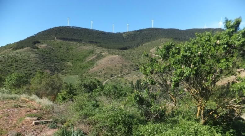Navarre - Aguilar de Codés - 209m2