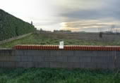 Terreny no urbanitzable en venda a la España, Morales del Vino, ref.: TR131876 foto