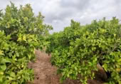 Non-developable land for sale on España, Canals, ref: TR132341 photo