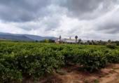 Non-developable land for sale on España, Canals, ref: TR132341 photo