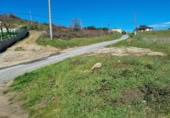 Suelo urbano en venta en la España, Bembibre, ref: TR218339 foto