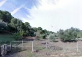Land suitable for development for sale on España, Encinarejo de Córdoba, ref: TR219022 photo
