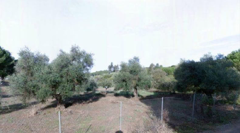 Córdoba - Córdoba - 3000m2