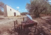 Casa de camp amb terreny en venda a la España, Ulldecona, ref.: TR311835 foto