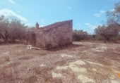 Casa de camp amb terreny en venda a la España, Ulldecona, ref.: TR311835 foto