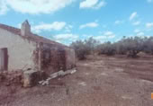 Casa de camp amb terreny en venda a la España, Ulldecona, ref.: TR311835 foto