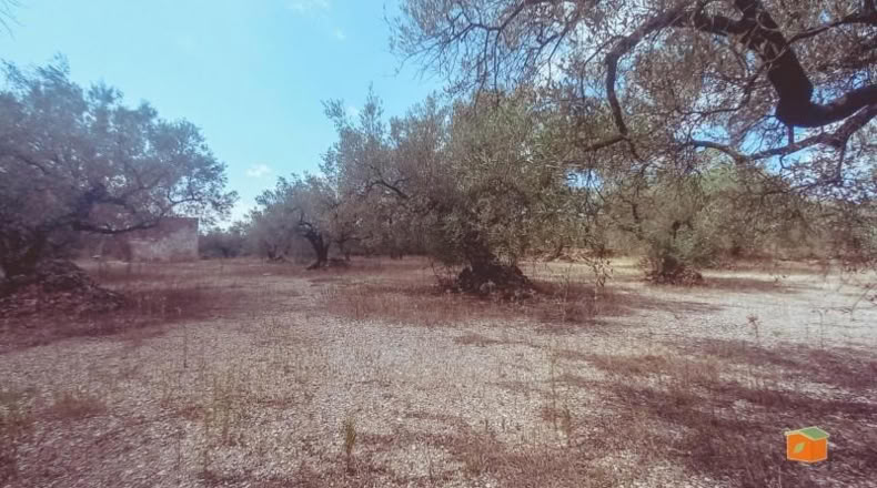 Tarragona - Ulldecona - 9866m2