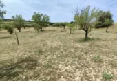 Non-developable land for sale on España, Almansa, ref: TR318402 photo