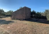 Xalet independent amb terreny en venda a la España, Xerta, ref.: TR269534 foto