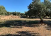 Xalet independent amb terreny en venda a la España, Xerta, ref.: TR269534 foto