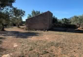 Xalet independent amb terreny en venda a la España, Xerta, ref.: TR269534 foto