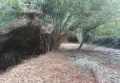 Xalet independent amb terreny en venda a la España, Bocairent, ref.: TR361917 foto