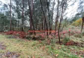 Non-developable land for sale on España, O Porriño, ref: TR116717 photo