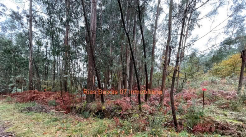 Pontevedra - Porriño - 3133m2
