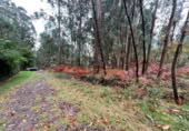 Non-developable land for sale on España, O Porriño, ref: TR116717 photo