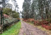 Non-developable land for sale on España, O Porriño, ref: TR116717 photo