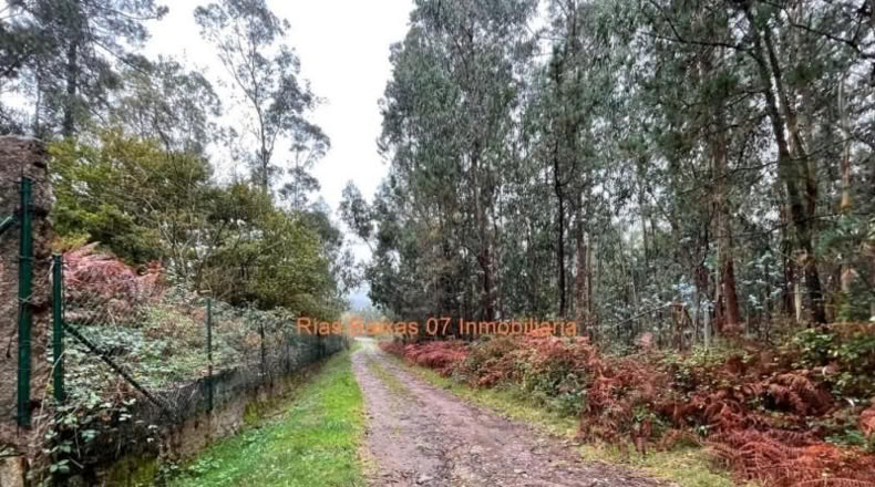 Pontevedra - Porriño - 3133m2