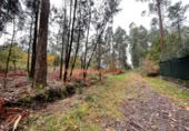 Non-developable land for sale on España, O Porriño, ref: TR116717 photo