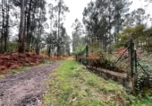 Non-developable land for sale on España, O Porriño, ref: TR116717 photo