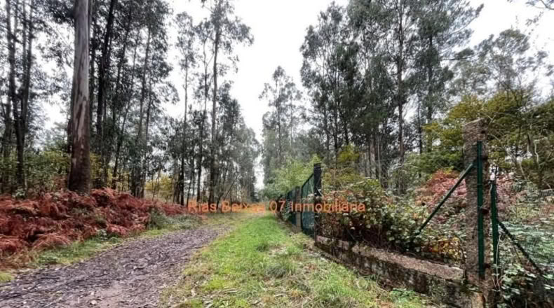 Pontevedra - Porriño - 3133m2
