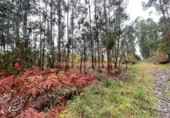 Non-developable land for sale on España, O Porriño, ref: TR116717 photo