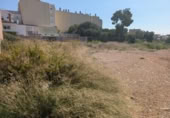 Terreno no urbanizable en venta en la España, Alcanar, ref: TR344267 foto