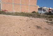 Terreno no urbanizable en venta en la España, Alcanar, ref: TR344267 foto