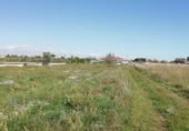 Terreny no urbanitzable en venda a la España, Benicarló, ref.: TR353988 foto
