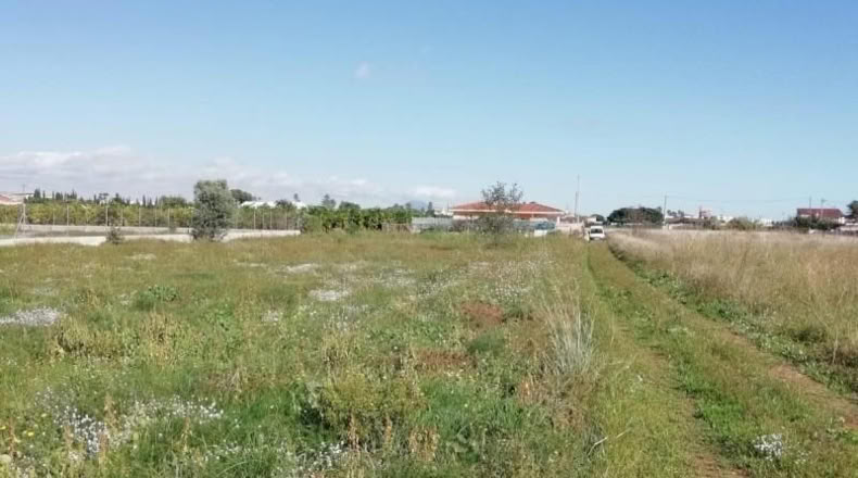 Castellon - Benicarló - 1200m2