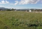 Terreny no urbanitzable en venda a la España, Benicarló, ref.: TR353988 foto