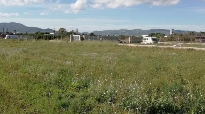 Castellon - Benicarló - 1200m2