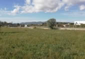 Terreny no urbanitzable en venda a la España, Benicarló, ref.: TR353988 foto